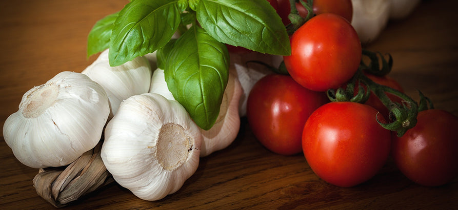 semper gloratur vituperata