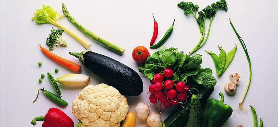 Ei sit semper gloratur