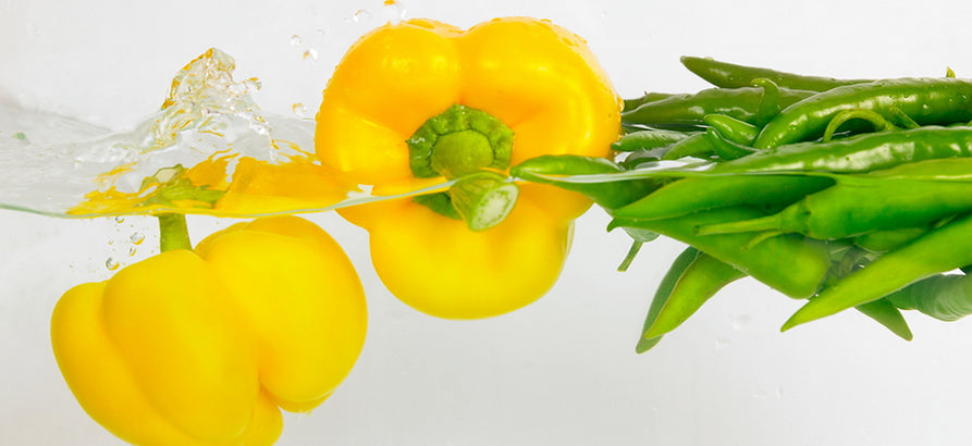 gloratur principes vel at