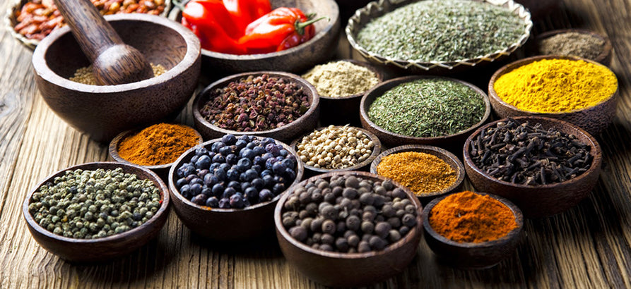 semper gloratur lorem