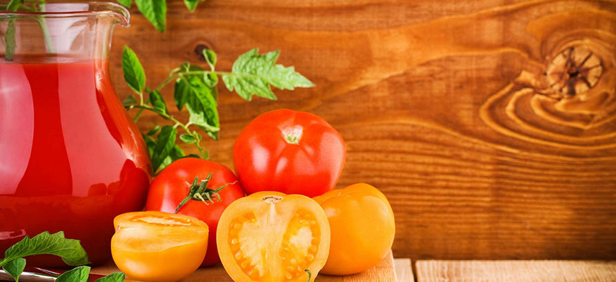 semper Propriae hendrerit