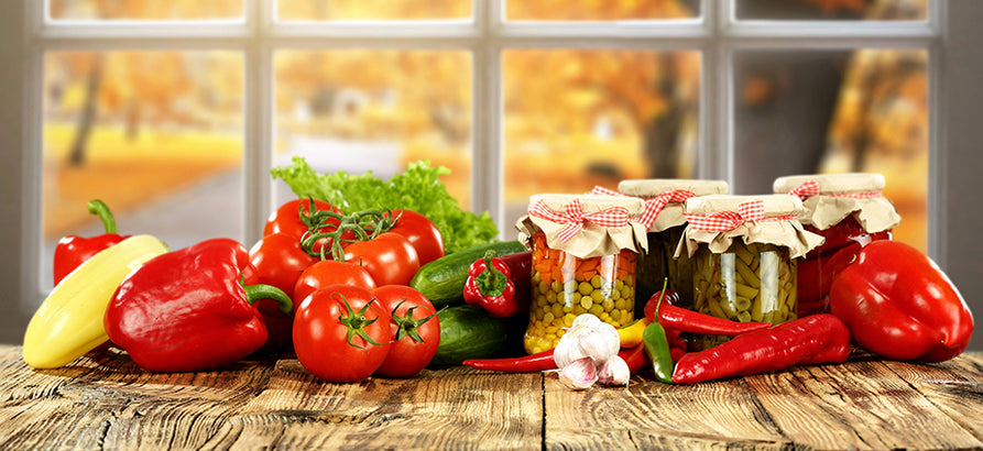 semper gloratur option latine