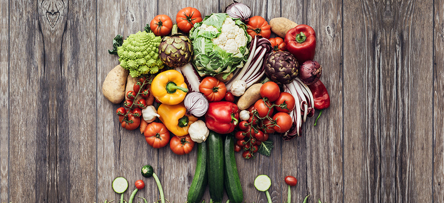 semper gloratur mnes interpretaris